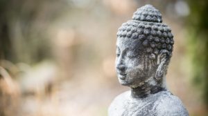Der Kurs Buddhanatur: Das grundlegende Gute