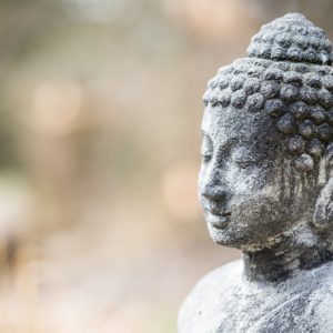 Course about Basic Goodness and buddha nature